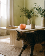 Ambientador Sólido – Naranja Especiada cálida - Imagen 2